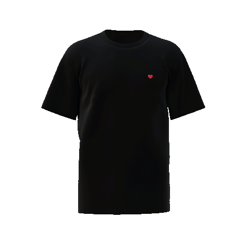 Tshirt Digital Twin